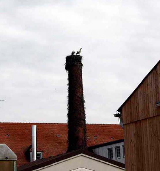 Schornstein mit Storch1