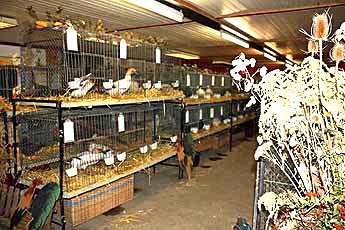 bild2006