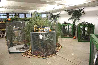 bild3002