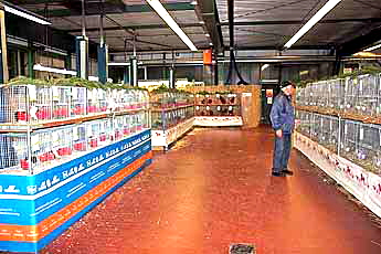 bild3008