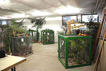 bild4003